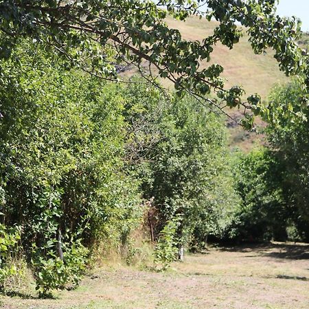 Villa Shamakhyan Dilidžan Exteriér fotografie