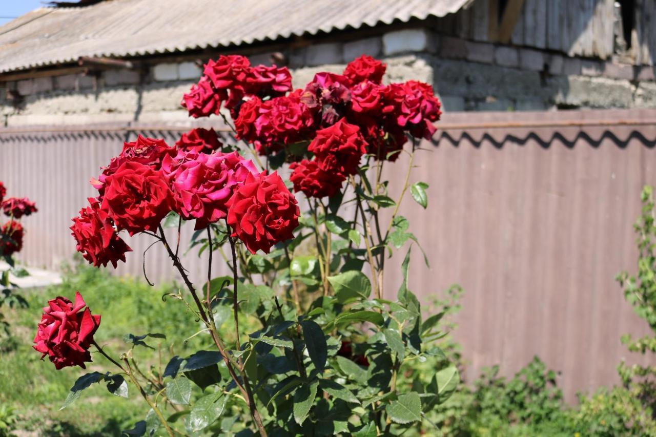 Villa Shamakhyan Dilidžan Exteriér fotografie