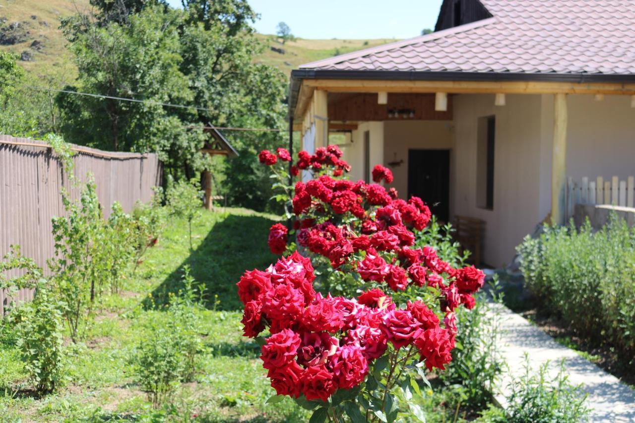 Villa Shamakhyan Dilidžan Exteriér fotografie
