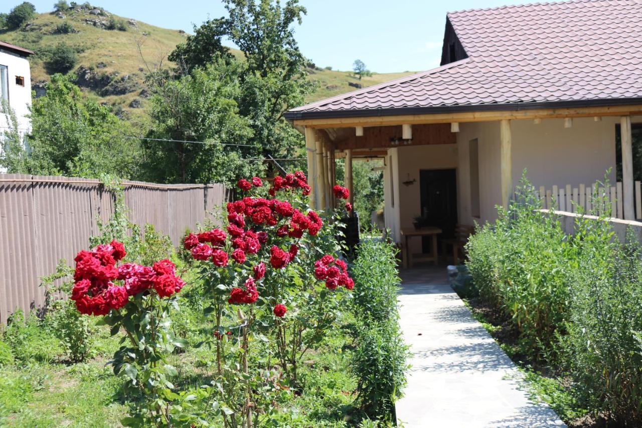 Villa Shamakhyan Dilidžan Exteriér fotografie